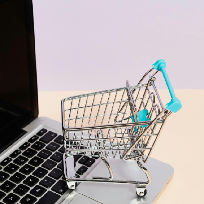 Ecommerce Development