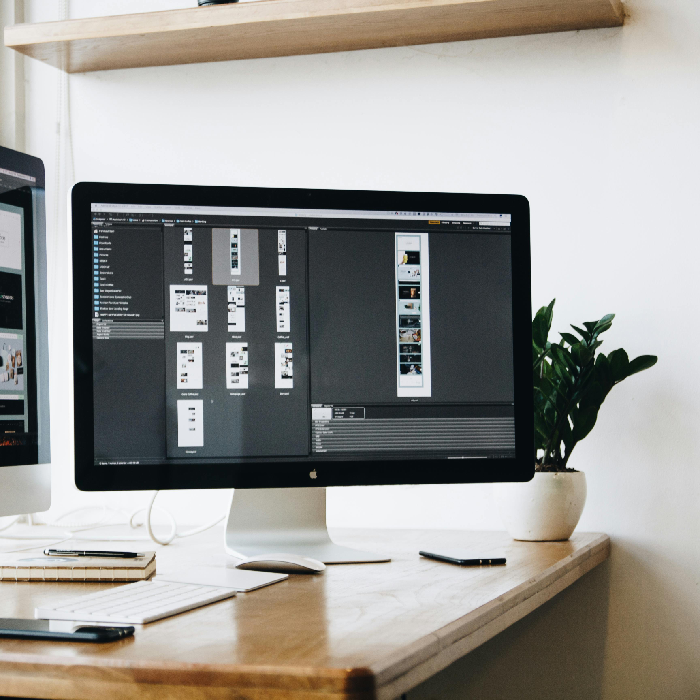 UI/UX Designing